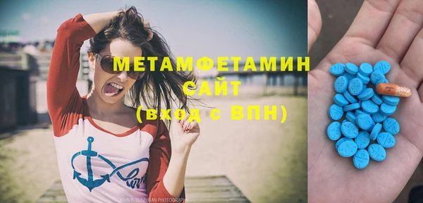 прущие грибы Надым