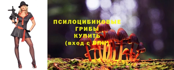 а пвп мука Лиски