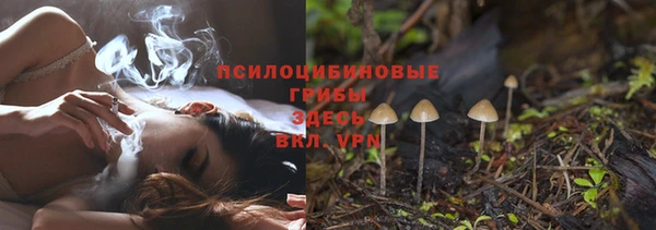 прущие грибы Лихославль