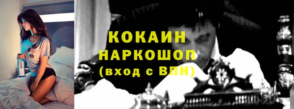 прущие грибы Лихославль