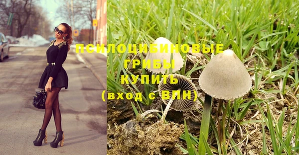 ПСИЛОЦИБИНОВЫЕ ГРИБЫ Липки