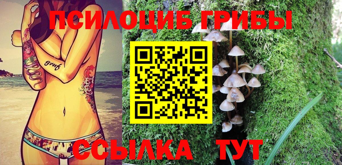 Псилоцибиновые грибы Cubensis  Вход с VPN  Владивосток 