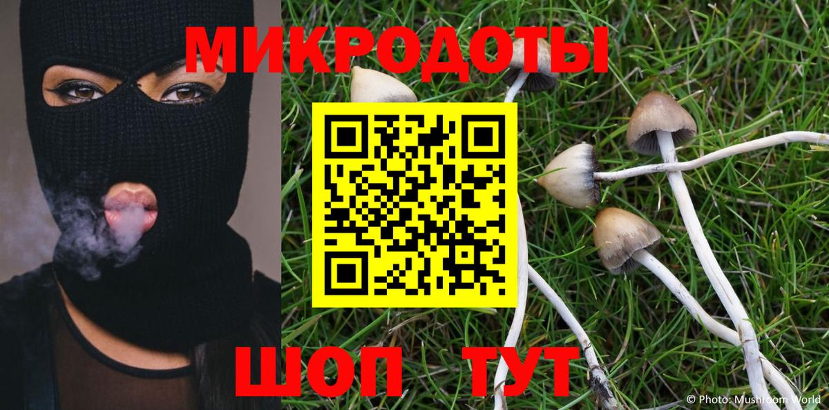 Галлюциногенные грибы Magic Shrooms Владивосток