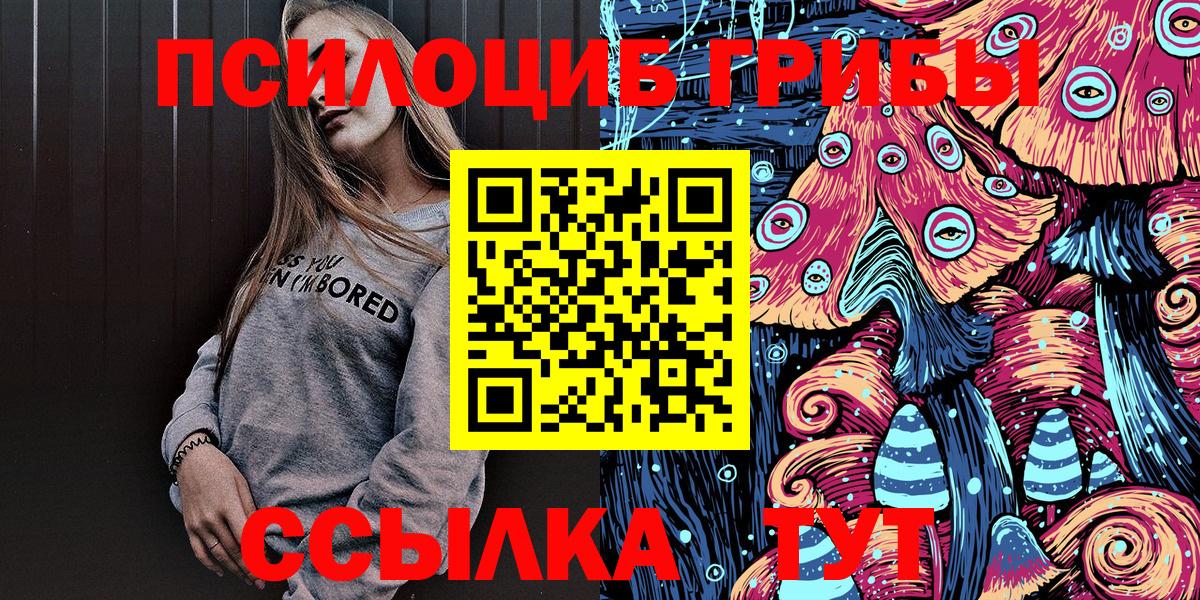 Псилоцибиновые грибы Psilocybe Владивосток
